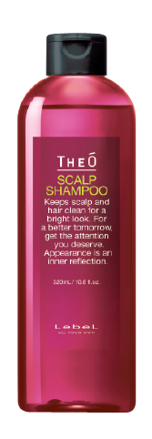 Шампунь для волос, для мужчин / THEO SCALP SHAMPOO 320 мл